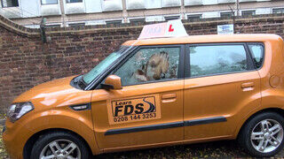 Fake Driving School angol nőci barna hímtagra vágyik - Amatordomina.hu