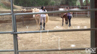 Missy Martinez és Lylith Lavey a termetes csöcsű lovász csajok közösen élvezkednek - Amatordomina.hu